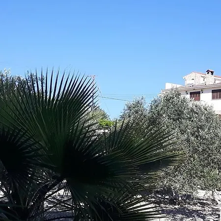 Agrepavli Lapithia * Kallepia