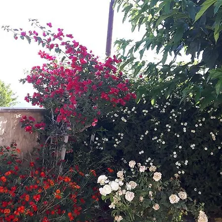 Agrepavli Lapithia Apartment *