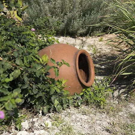 Agrepavli Lapithia