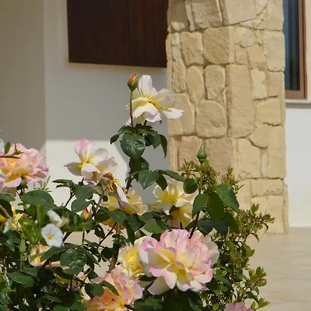 Agrepavli Lapithia Apartment *