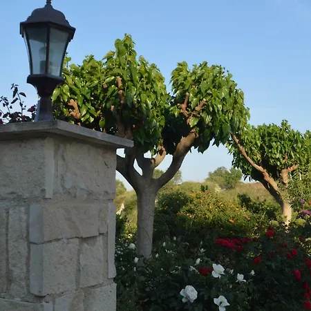 Apartment Agrepavli Lapithia