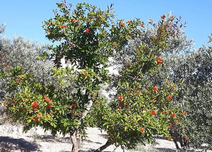 Agrepavli Lapithia Appartamento Kallepia