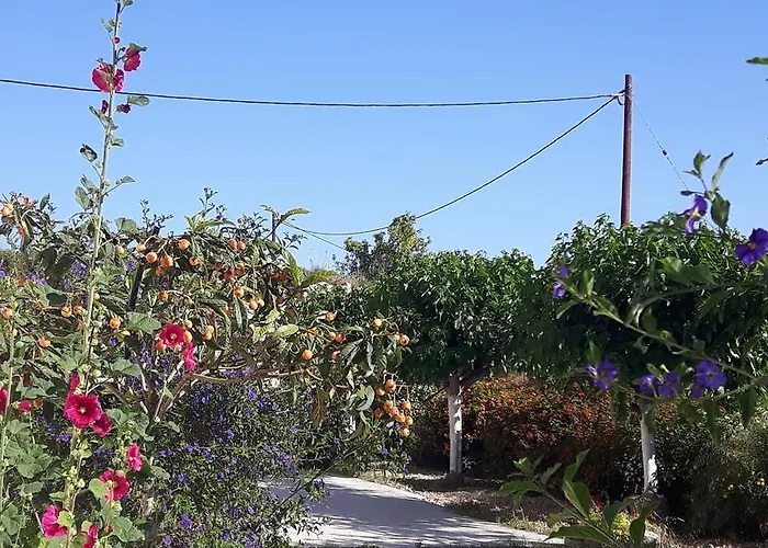 Agrepavli Lapithia Kallepia