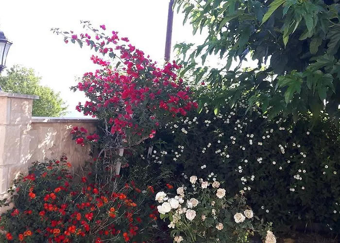 Agrepavli Lapithia Appartamento *