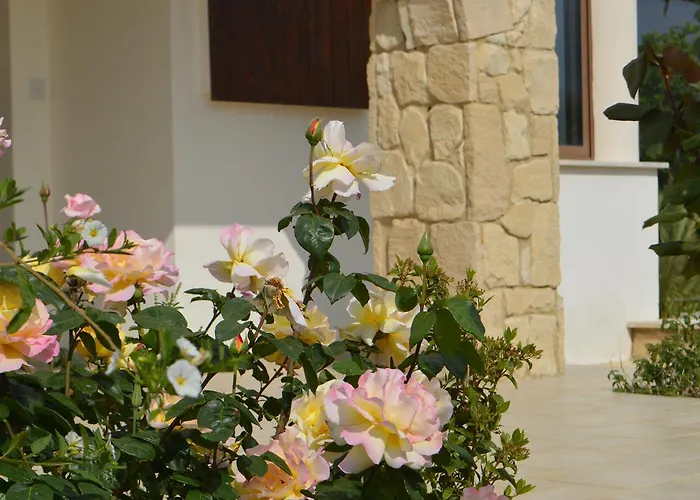 Agrepavli Lapithia Lägenhet *